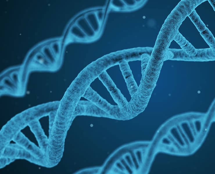 معلومات عن مراحل تطور تاريخ علم الوراثة عند الانسان