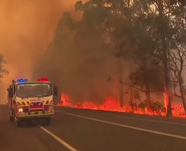 اسباب حرائق غابات استراليا واضرارها علي الحيوانات والبيئة